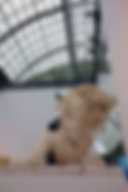 a597c1_61796b2c6d3b49f0964ba0a7c9528c8c.