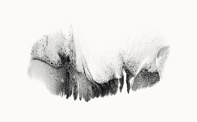 Yann Bagot, Sources #03, 2015, encre de Chine sur papier - Indian ink on paper, 56 x 76 cm