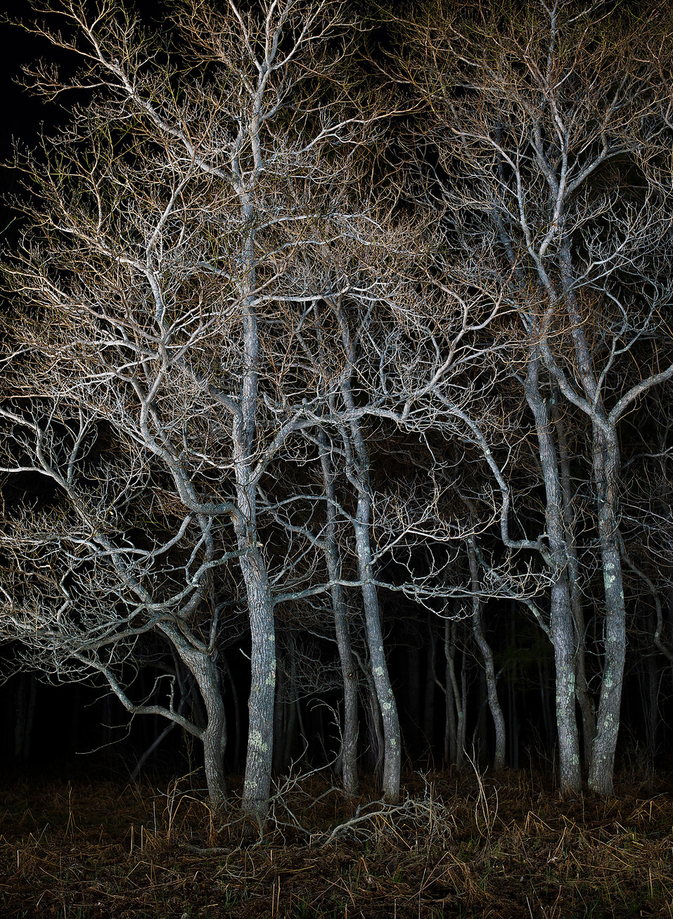 38460 1-topaz-sharpen-upscale-1 copy.jpg