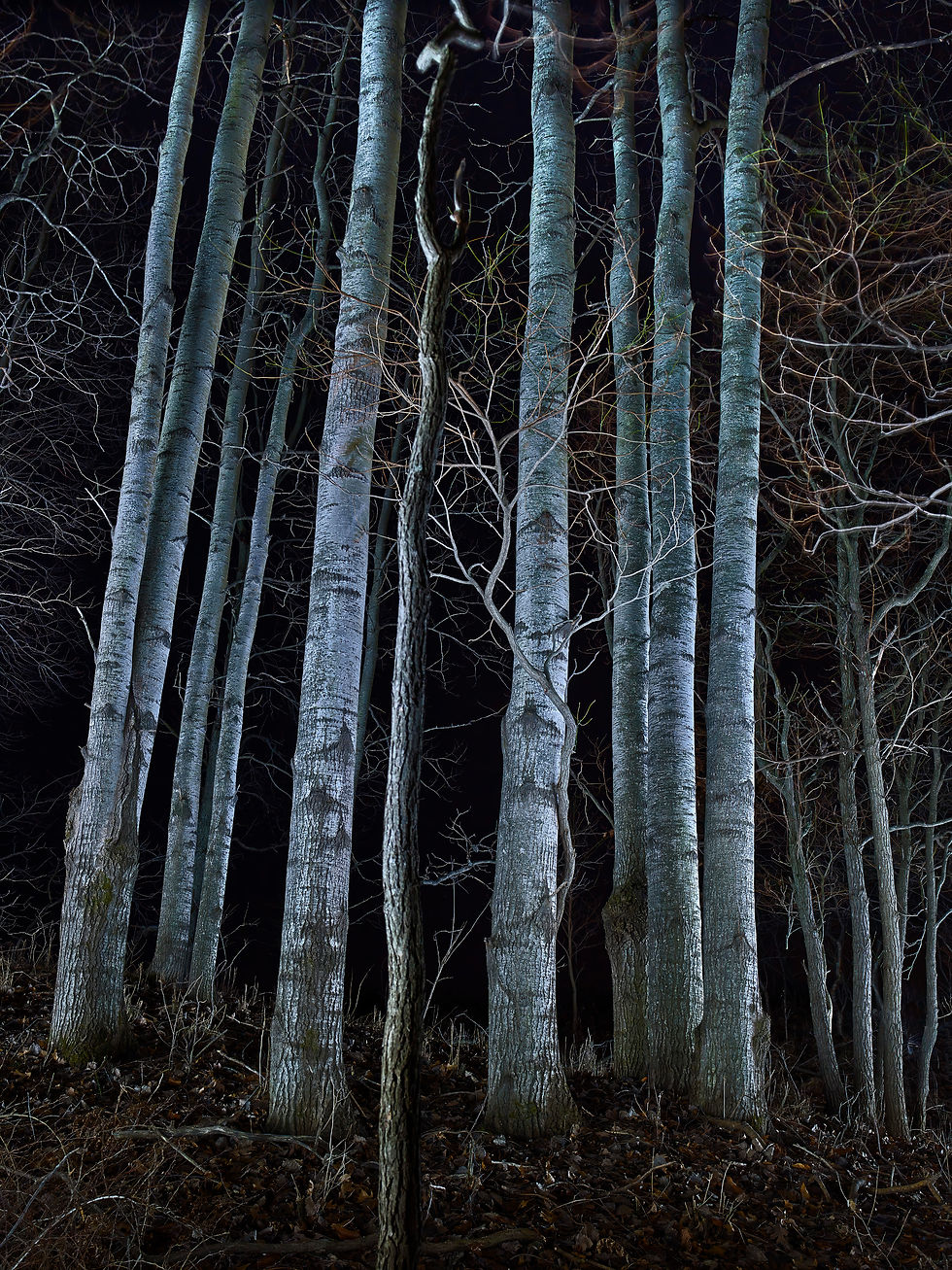 339551-topaz-denoise-upscale-2x copy.jpg