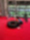IMG_8680.jpeg
