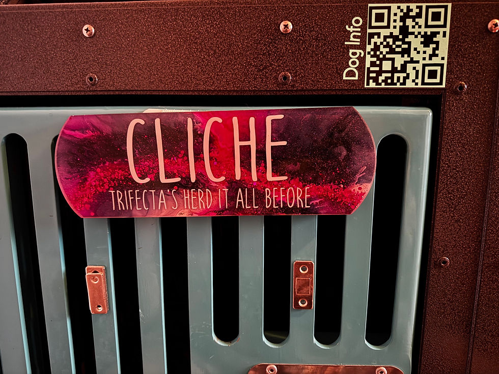 Thumbnail: QR Code Sticker