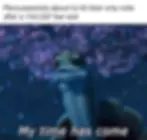 Meme showing a cartoon turtle with a blue and purple background. Text says: Percussionists about to hit their only note after a 154,537 bar rest. My time has come