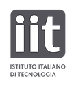 IIT-v4-logo-t1-0c7329a9 (1).png