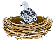eagInNest_edited.png