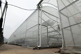 Fully enclosed greenhouse