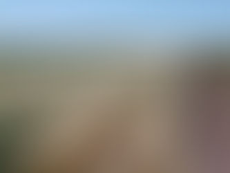 SADER Sonora beneficia a más de 1,292 productores del Pueblo Yaqui, con una inversión de alrededor de 200 millones de pesos; impulsa la autonomía productiva en 4 mil hectáreas.