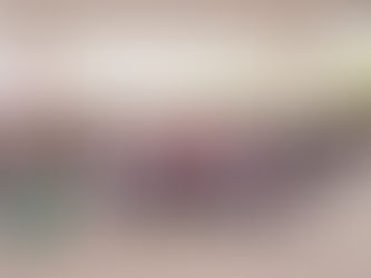 Entrega Gobierno de Sonora proyectos productivos y alimentarios en el Quiriego