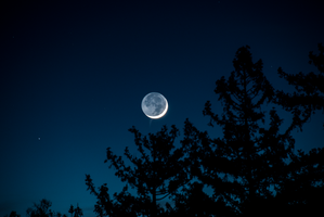 MoonBlueTrees_042717.png