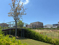 Satış_Peyzaj-5