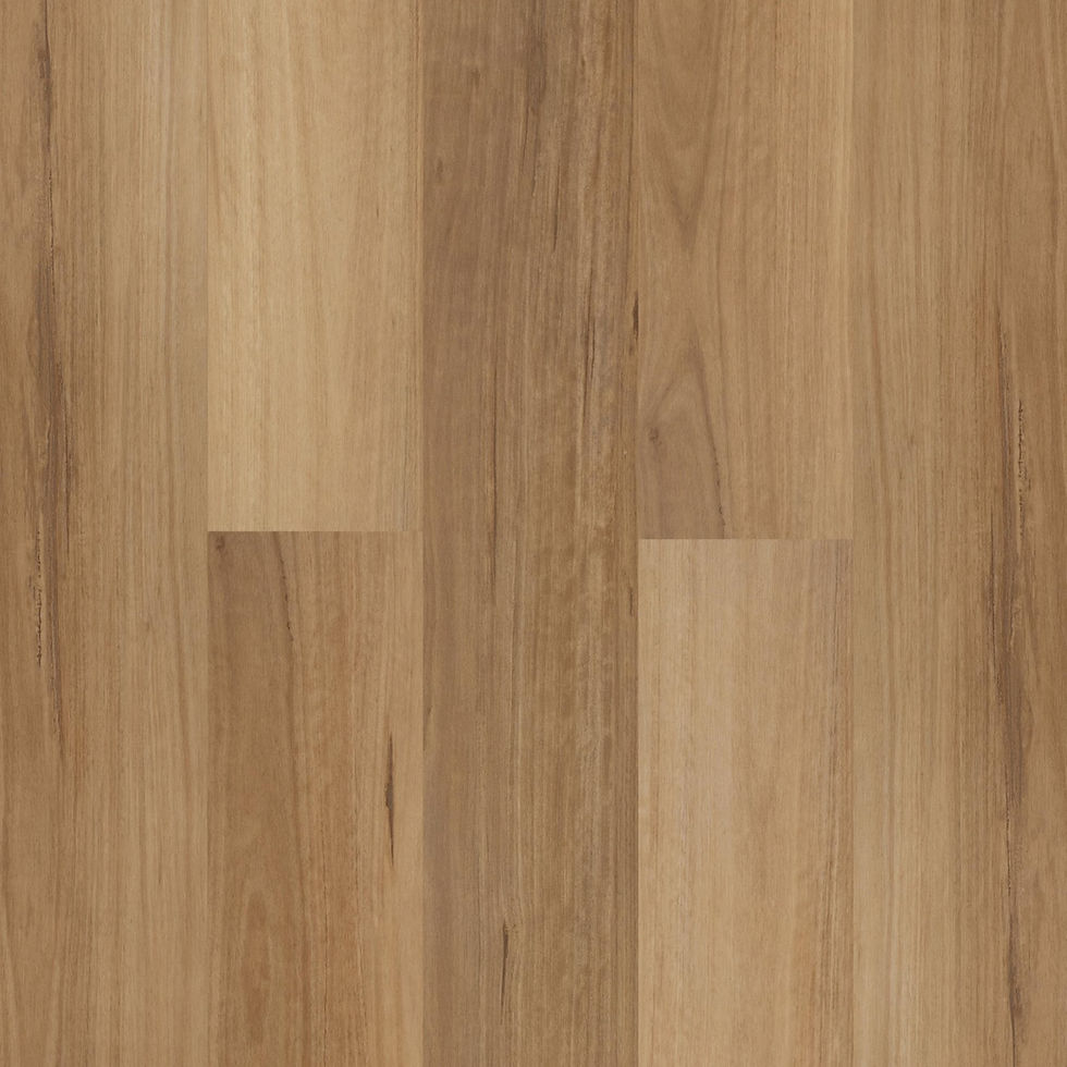Blackbutt XL.jpg