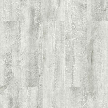 Artic Pine.jpg