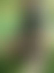 INICIATIVA AGROTURÍSTICA