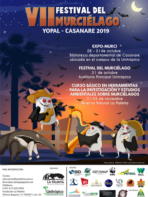 VII FESTIVAL DEL MURCIÉLAGO, YOPAL - CASANARE 2019