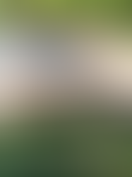 RESIDENCIA ARTÍSTICA SOBRE EL USO TRADICIONAL DEL CUERO