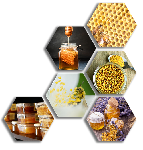 Honeycomb. Honey Bee. Bee Pollen.