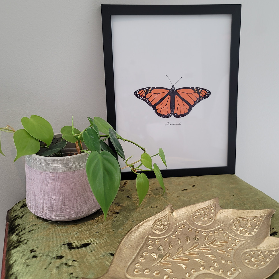Thumbnail: Butterfly Art Prints