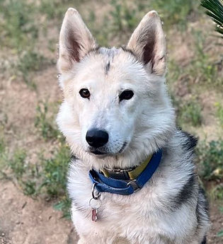 448960649_1000864464571826_3255006875040727155_n (1).jpg