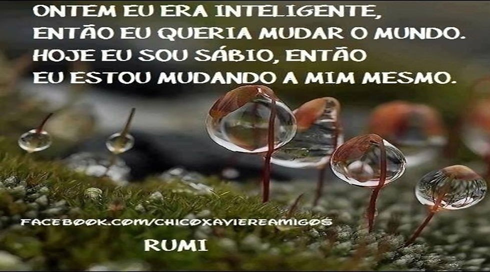 IMG10_Mudar-a-Mim_Rumi