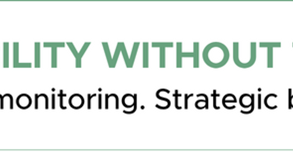 cost-effective automotive software