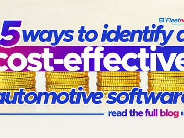 cost-effective automotive software