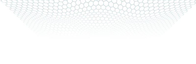 net-inversed.png