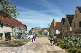 Mill Farm Field, Suffolk