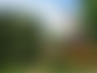 Orange Cottage Open for ‘Love Architecture’ Festival June 29th