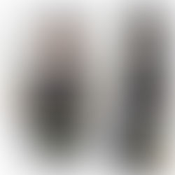 Peel Regional Paramedic