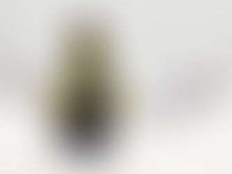 Aviation Safety Officer