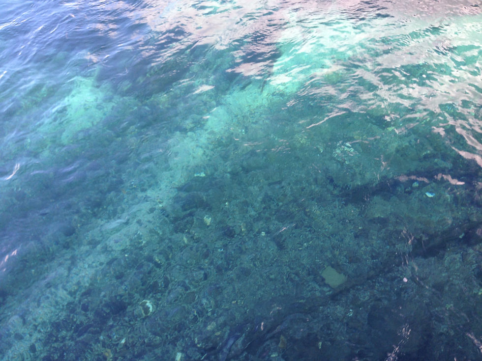 IMG_0045.jpg