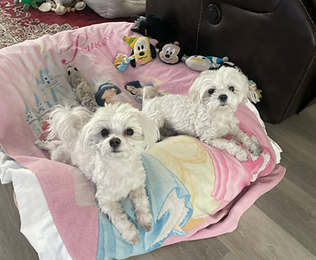 Teddy and Aden having a great time