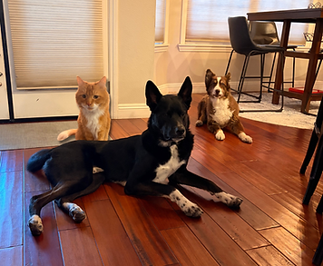 The besties! Beau, Theo and Richard Parker