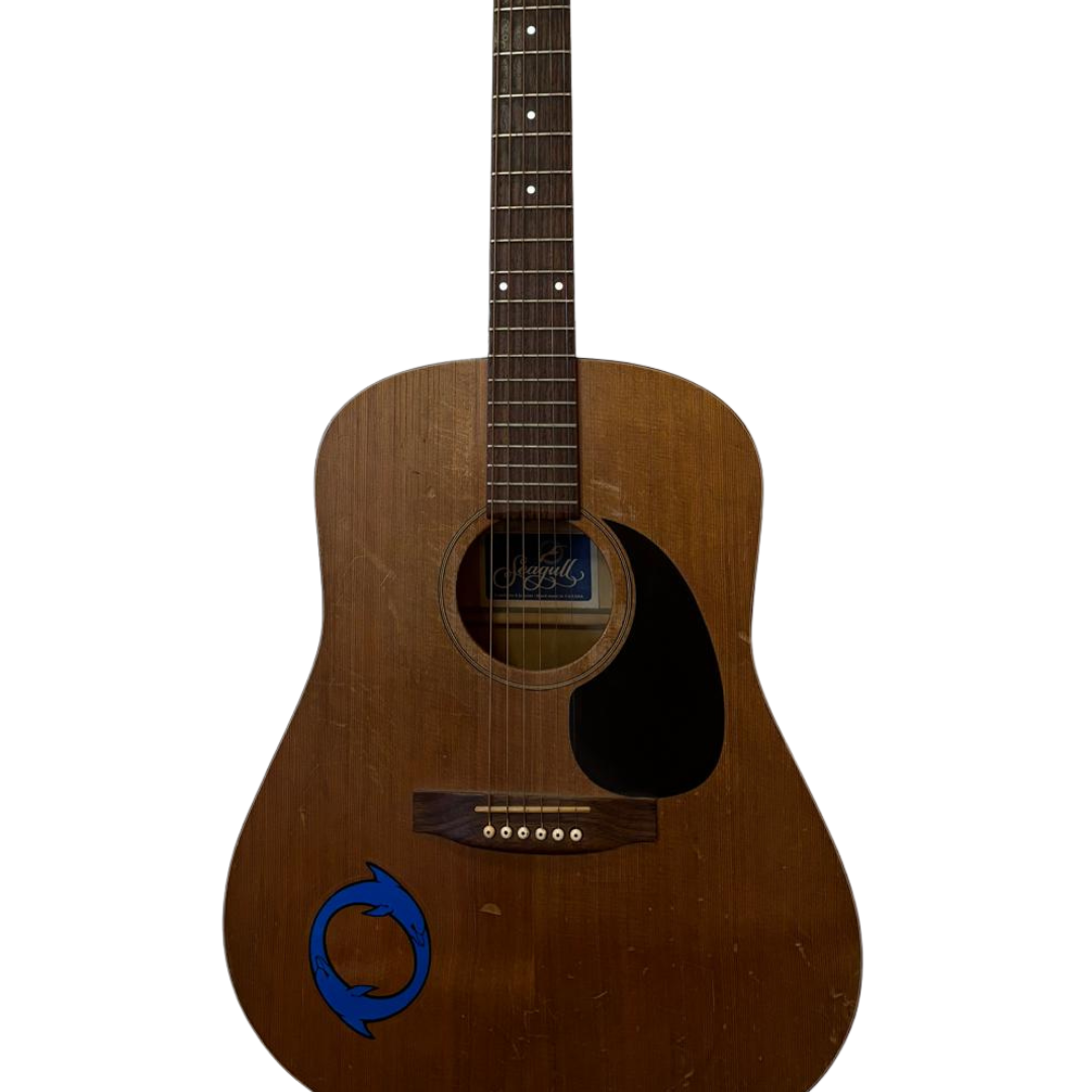 Acoustic Guitar - Seagull Cedar