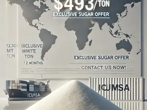 SUGAR OFFER 2025