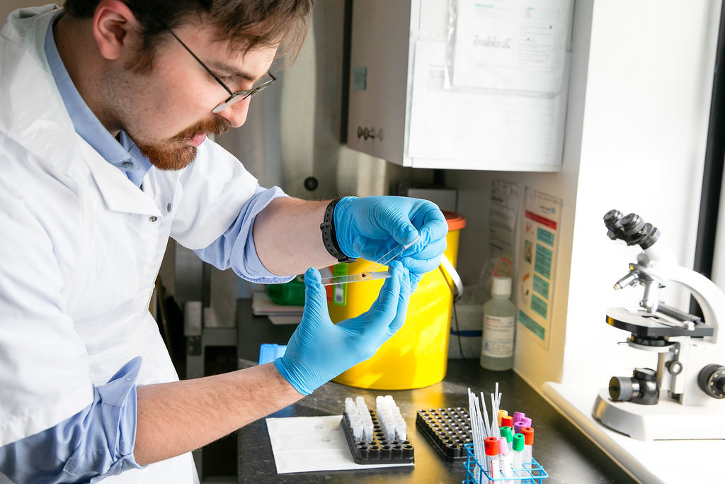 Marc Rius Lab MARC | The Academy of Research and Improvement