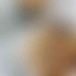 Granola Topping Sugar-free Cinnamon Oats