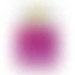 Nature's Way Acai Superberrie Powder