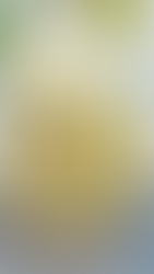 Low Carb Cauliflower Recipe