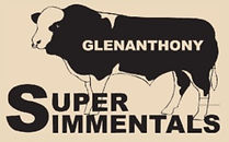 Glenanthony Logo.jpg