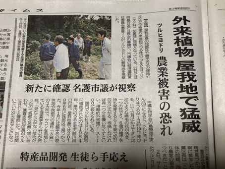 ツル科の繁茂、伐採が大変!