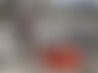 今度こそは・・・