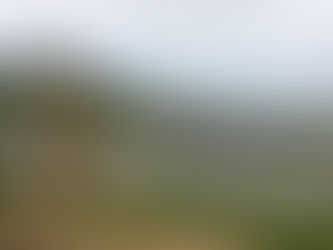 コンディション最高!