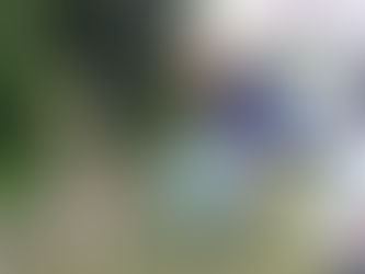 デモンストレーション