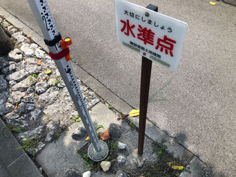 いつもの検測