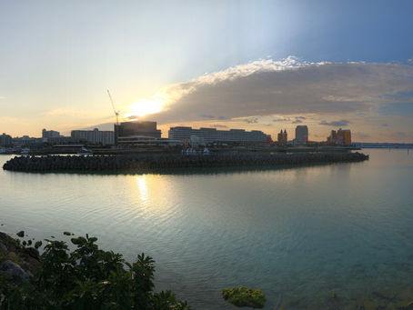 今日はおだやかな朝です