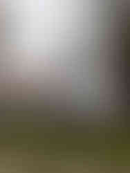 Kvinna framför Starrkärr kyrka