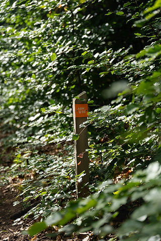 Ledmarkering I grönska 