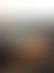 Stekhäll på eld med bohus fästning i bakgrunden