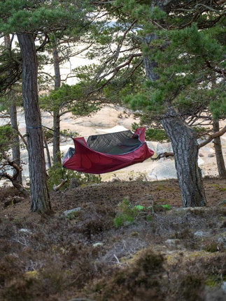 Röd hammock